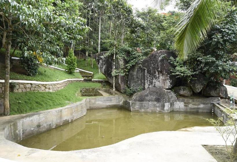 Edakkal Village Resort 9