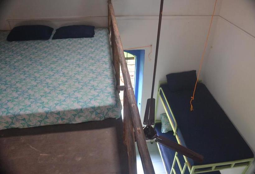 The Nest By Hostelogy 14