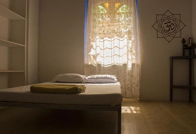 The Nest By Hostelogy 16