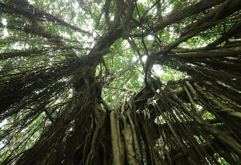 The Nest By Hostelogy 17