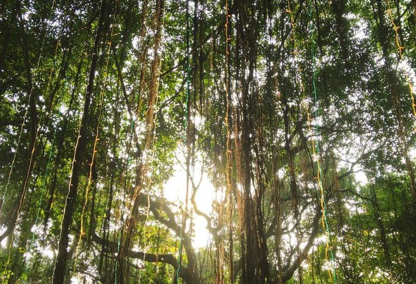 The Nest By Hostelogy 19