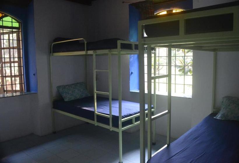 The Nest By Hostelogy 8