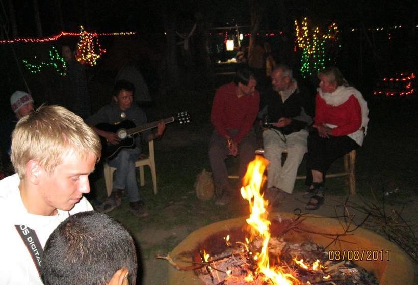 Hotel Oasis Villa 10