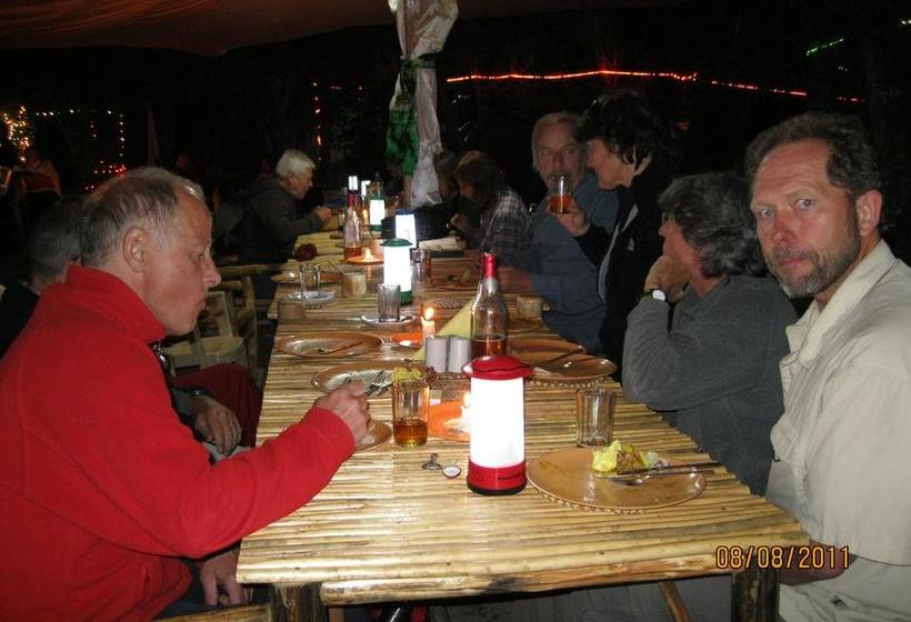 Hotel Oasis Villa 11