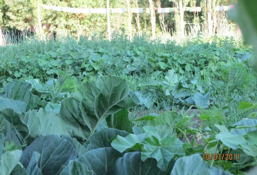 Hotel Oasis Villa 13