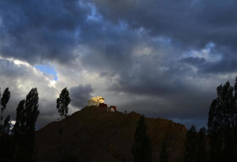 Hotel Oasis Villa 16