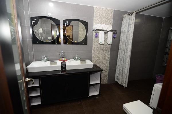 Hotel Little Palace 16