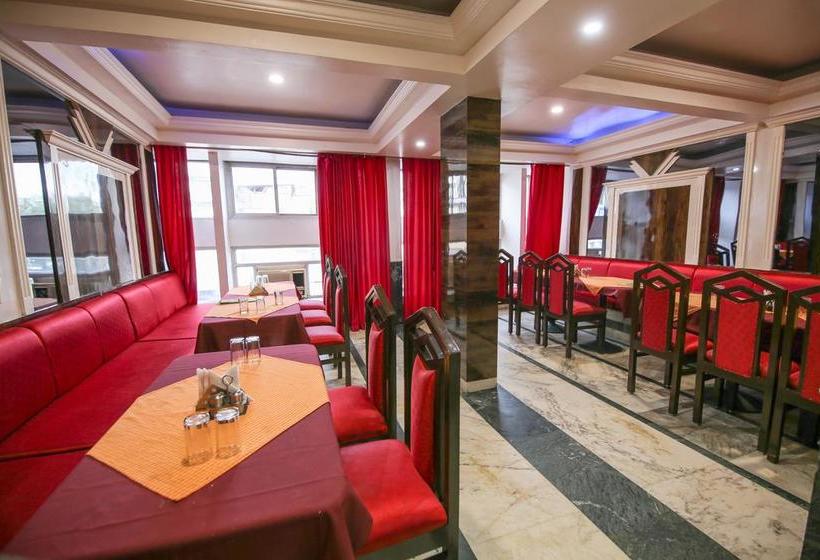 Oyo 9305 Hotel Dwarika Inn 7