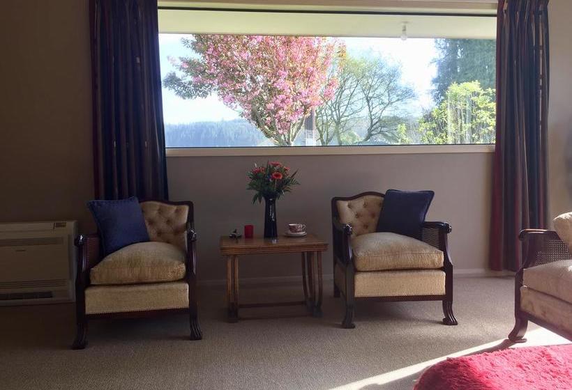 Kaniere Bridge B&b 1