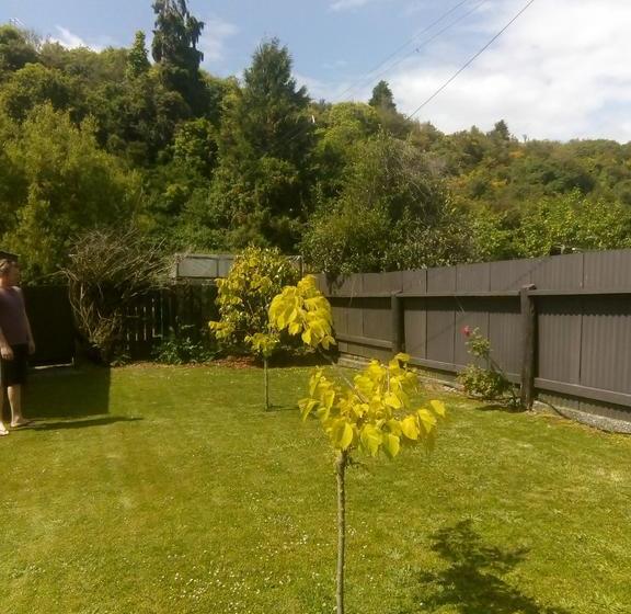 Kaniere Bridge B&b 6