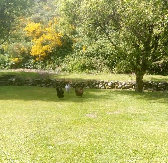 Kaniere Bridge B&b 9