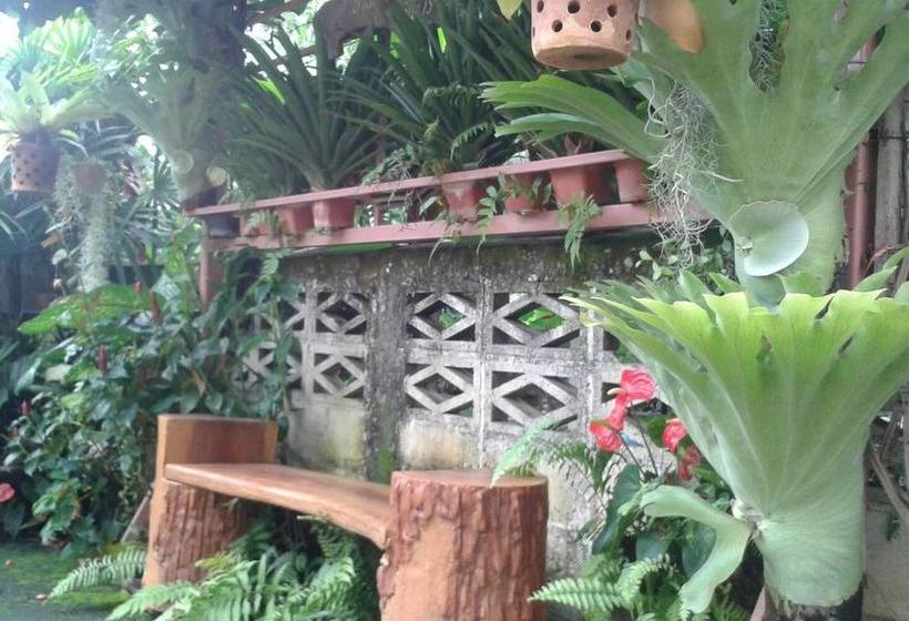 Hotel Banmy Baanmai 5