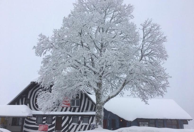 Boutique Hotel Kokoschinski 2