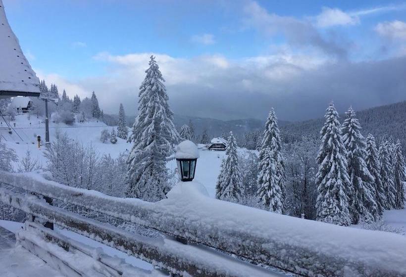 Boutique Hotel Kokoschinski 4