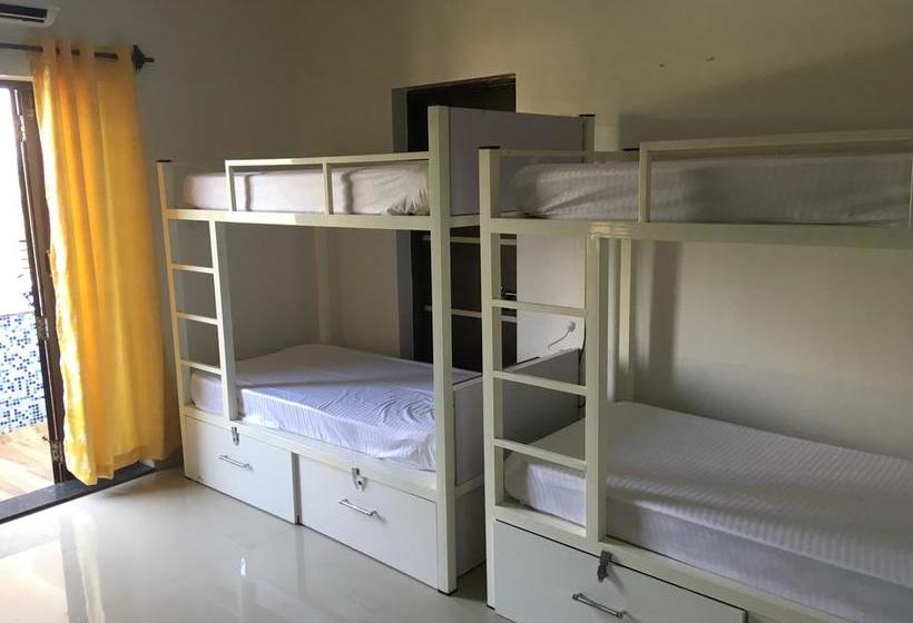 Hostel Bootstart Colive 11