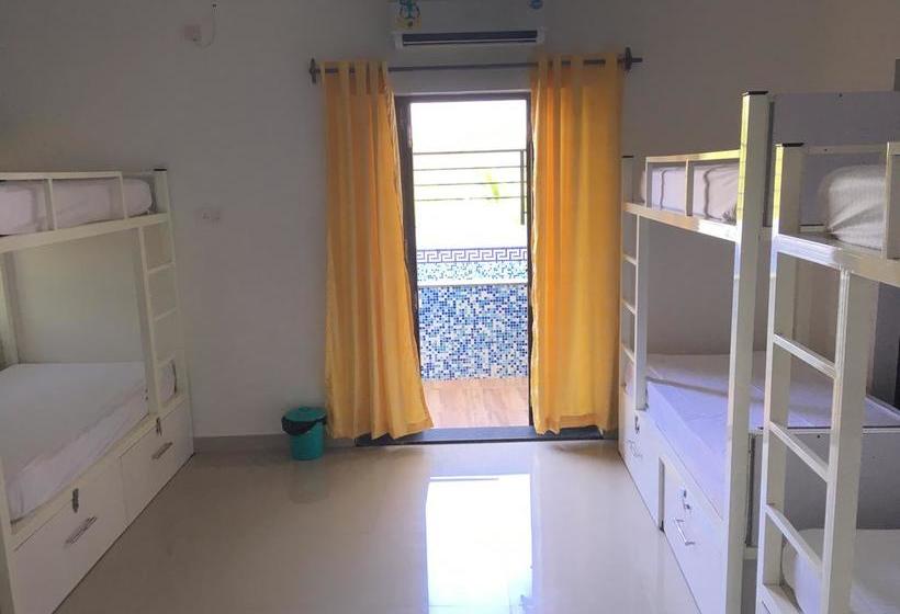 Hostel Bootstart Colive 6