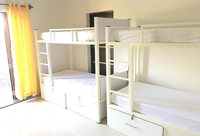 Hostel Bootstart Colive 7