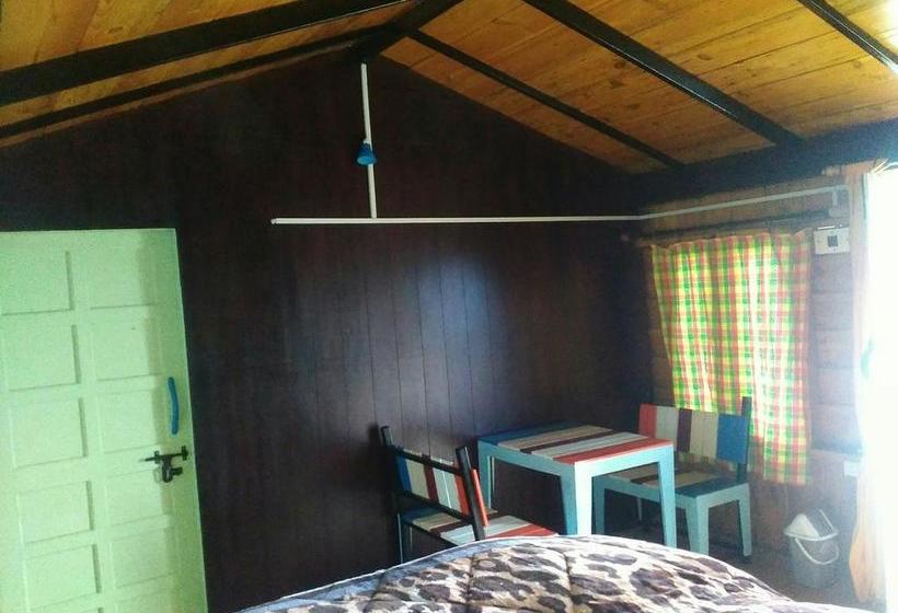 Resort Great Barbet Birding Lodge & Sundown Café Pangot 12