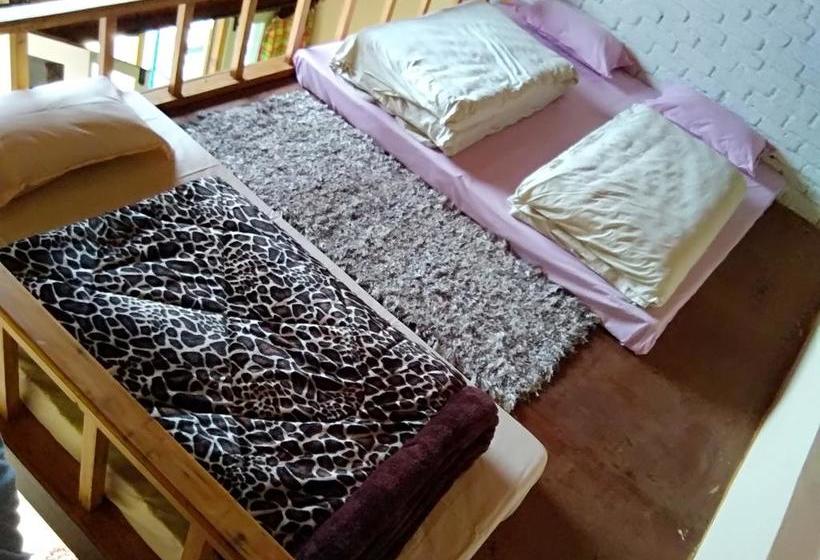 Resort Great Barbet Birding Lodge & Sundown Café Pangot 20