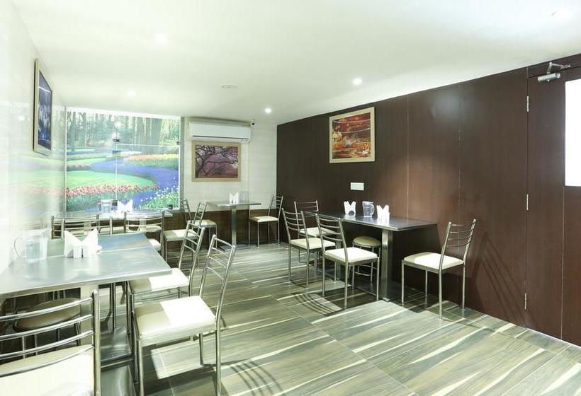 Hotel Treebo C Plaza 10