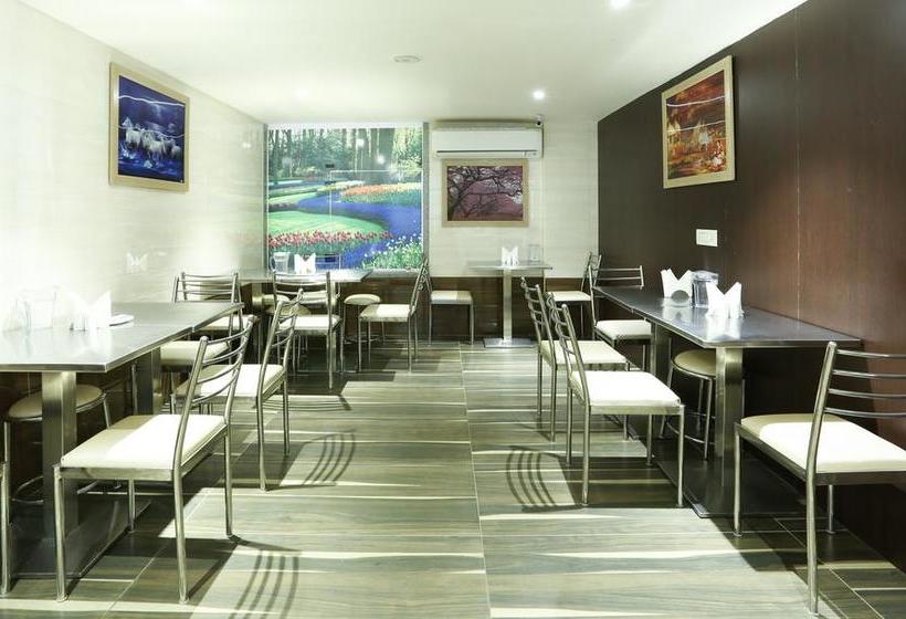 Hotel Treebo C Plaza 11