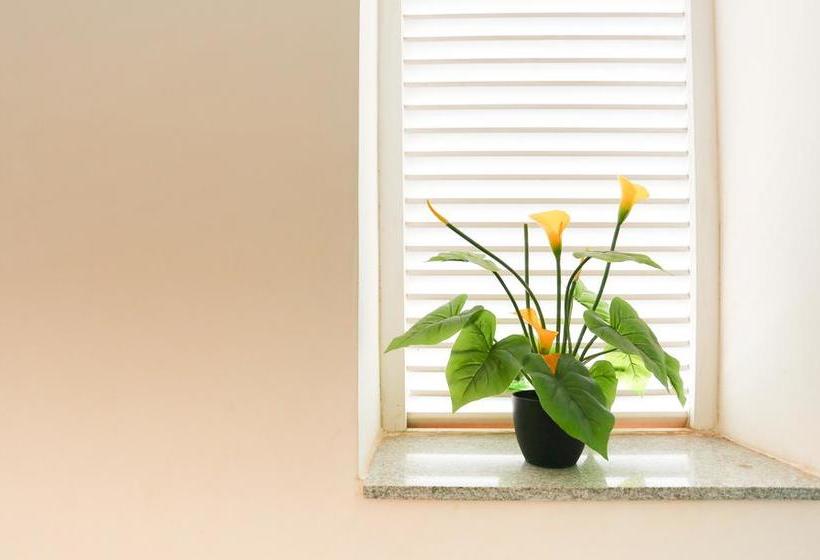 Hotel Treebo C Plaza 18