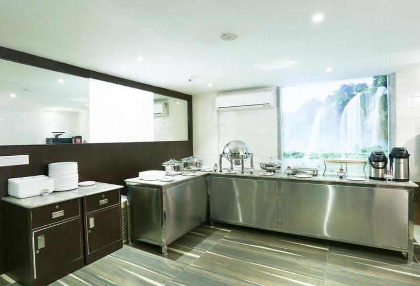 Hotel Treebo C Plaza 8