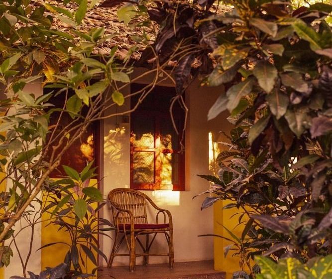 Bed and Breakfast Bean Me Up 5