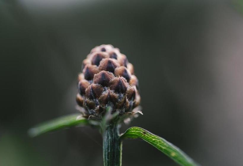 Hôtel Insel Der Sinne 1