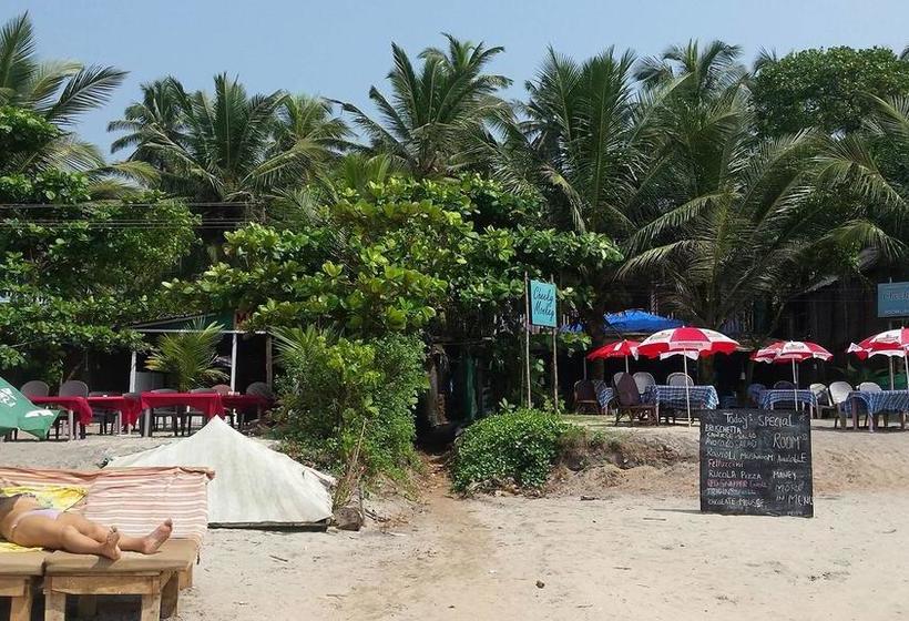 Bed and Breakfast Arambol Youth Hostel 3