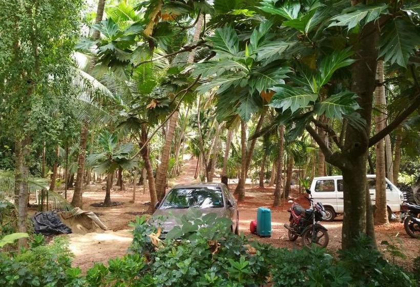 Samant Beach Resort 3