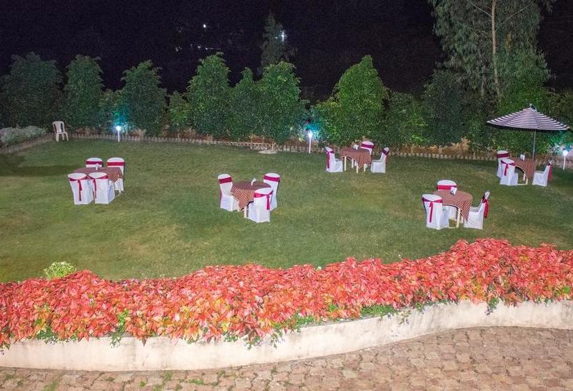 Hotel Diamond Villa 2