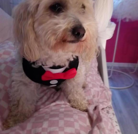 Landhotel Alte Mühle 19