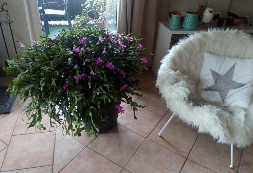 Landhotel Alte Mühle 3