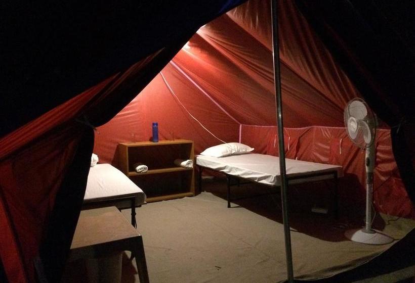 Balaut Camp Resort 18