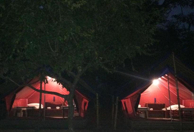 Balaut Camp Resort 19