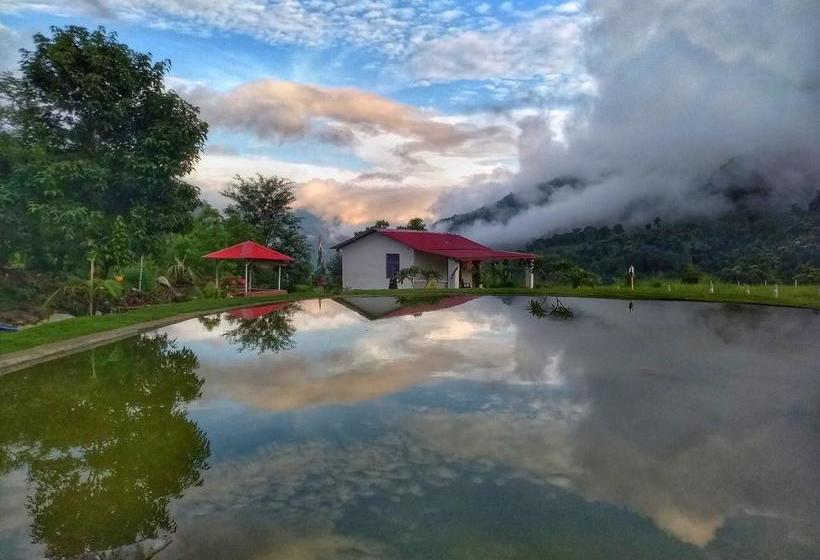 Balaut Camp Resort 5