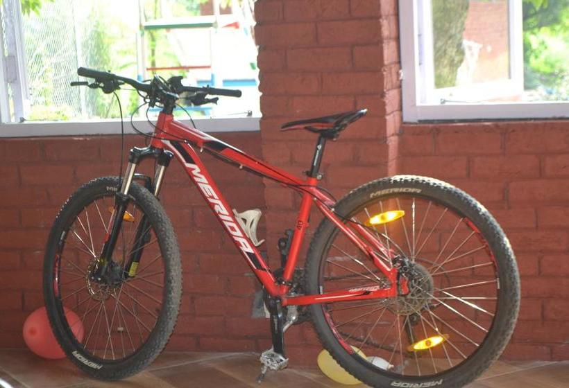 Balaut Camp Resort 7