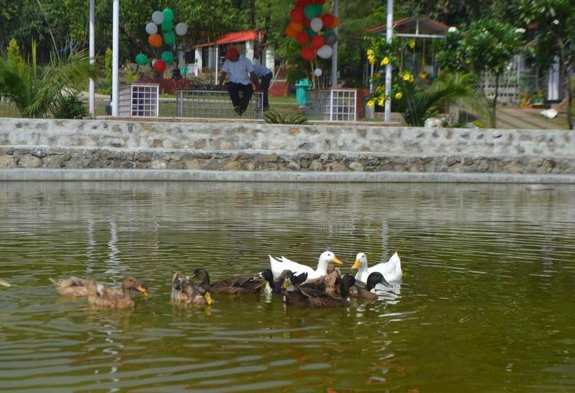 Balaut Camp Resort 8