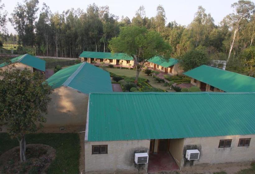 Resort Dr. Sudha S Ayurveda 10