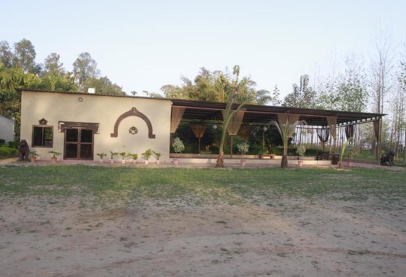 Resort Dr. Sudha S Ayurveda 11