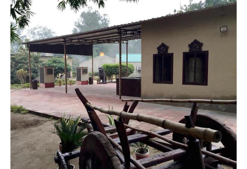 Resort Dr. Sudha S Ayurveda 15