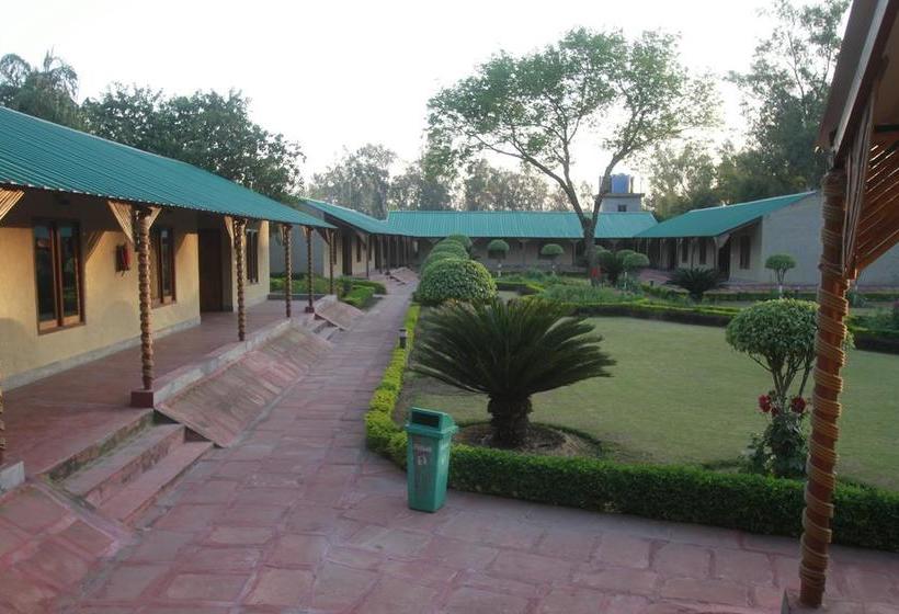 Resort Dr. Sudha S Ayurveda 16