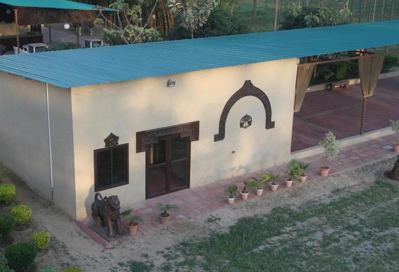 Resort Dr. Sudha S Ayurveda 17