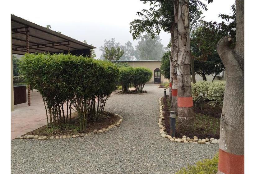 Resort Dr. Sudha S Ayurveda 18