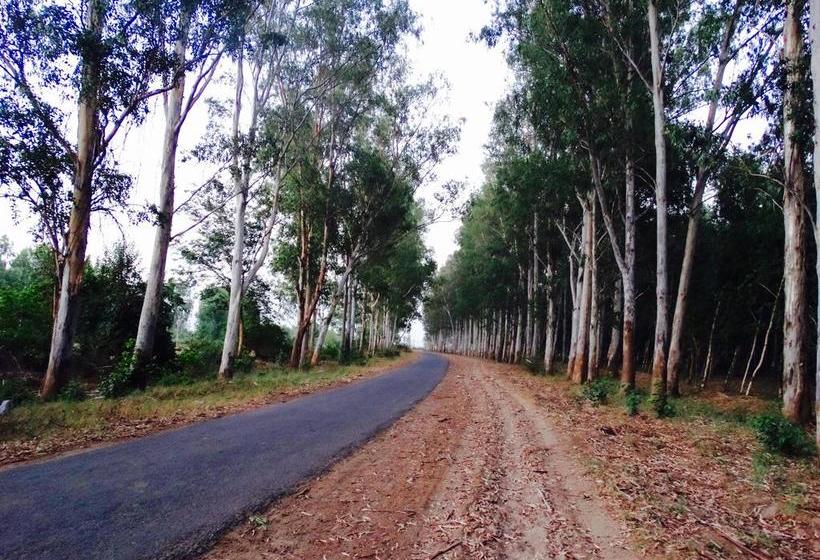 Resort Dr. Sudha S Ayurveda 3