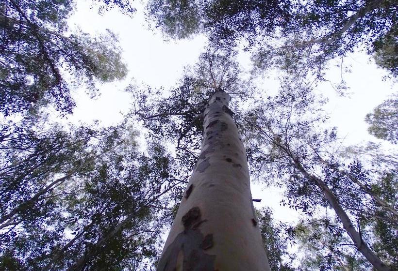 Resort Dr. Sudha S Ayurveda 4