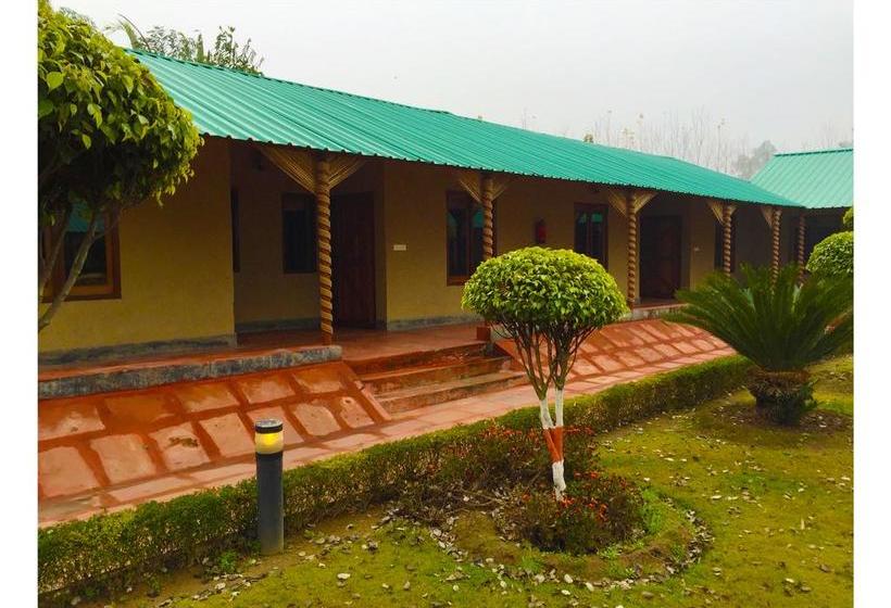 Resort Dr. Sudha S Ayurveda 7