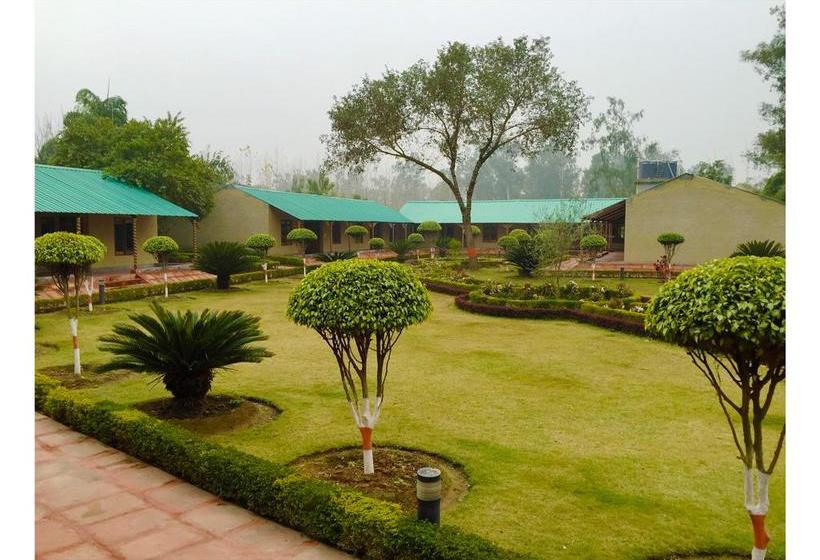 Resort Dr. Sudha S Ayurveda 8