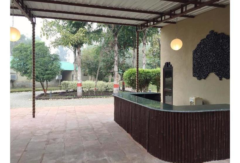 Resort Dr. Sudha S Ayurveda 9